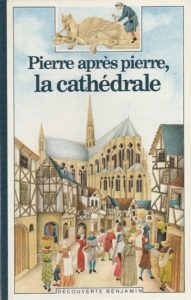 Couverture d’ouvrage : Pierre après pierre, la cathédrale